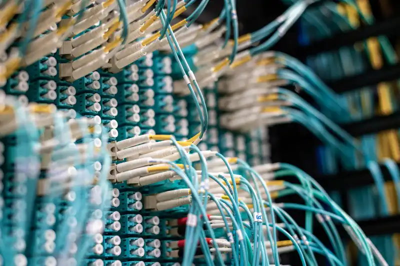 Baie de brassage fibre optique avec câbles organisés
